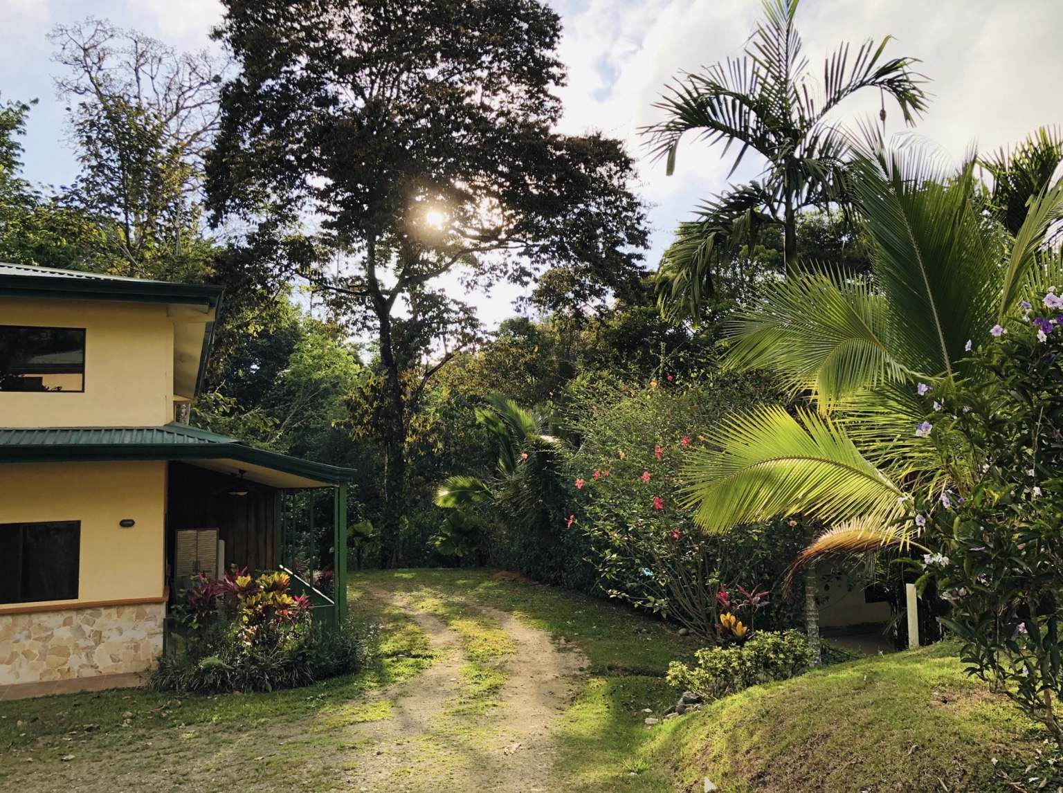 Villa beside a tropical garden